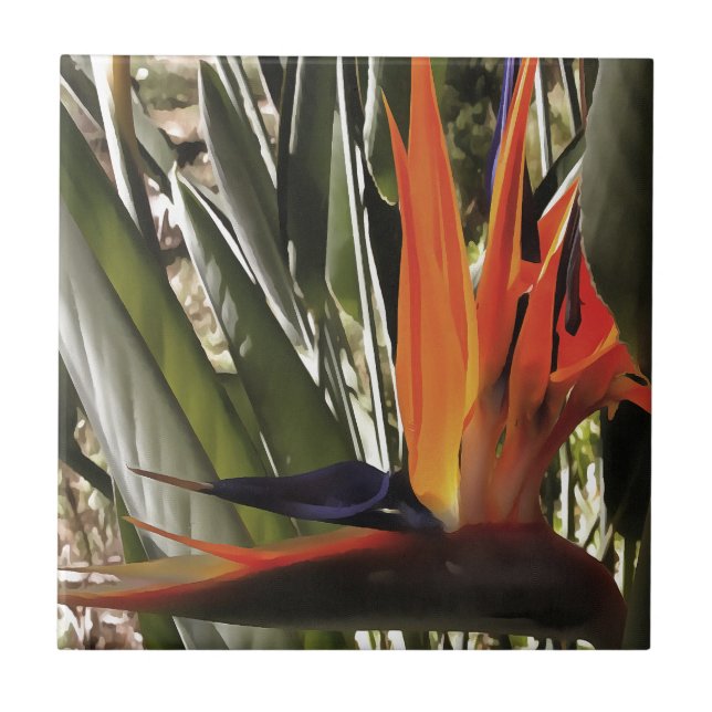 Bird of Paradise Strelitzia Reginae Acrylic Painti Ceramic Tile (Front)