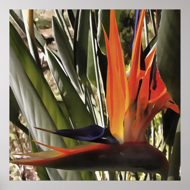 Bird of Paradise Strelitzia Reginae Acrylic Painti Poster (Front)