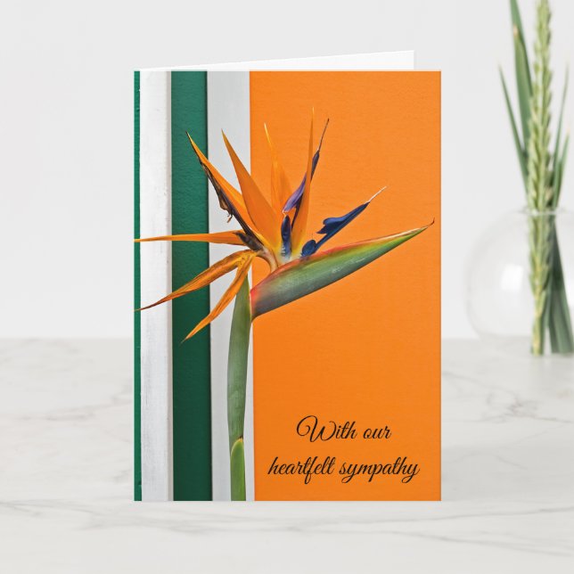 Bird Of Paradise Sympathy Card (Front)