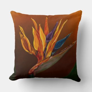 Bird of paradise