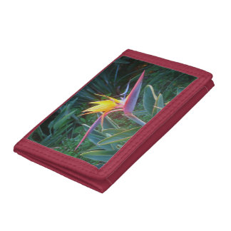 *Bird of Paradise* Tri-Fold Wallet