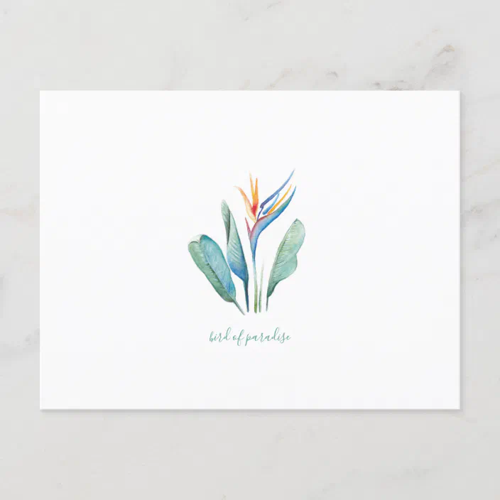 Bird Of Paradise Tropical Watercolor Postcard Zazzle Com