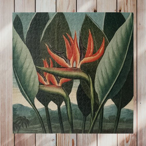 Bird of Paradise Vintage Temple of Flora Botanical Jigsaw Puzzle