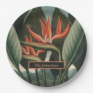 Bird of Paradise Vintage Temple of Flora with Name