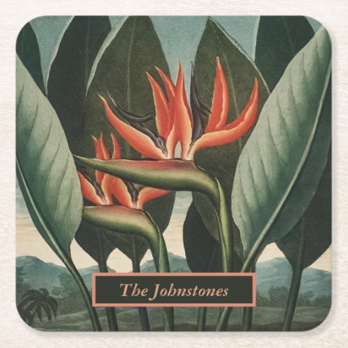 Bird of Paradise Vintage Temple of Flora with Name Square Paper Coaster