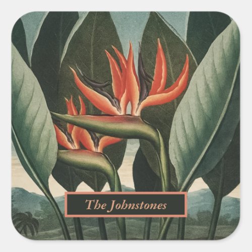 Bird of Paradise Vintage Temple of Flora with Name Square Sticker