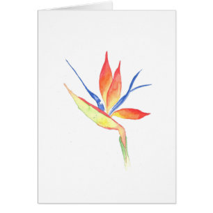 Bird of Paradise Watercolor Print Greeting Card