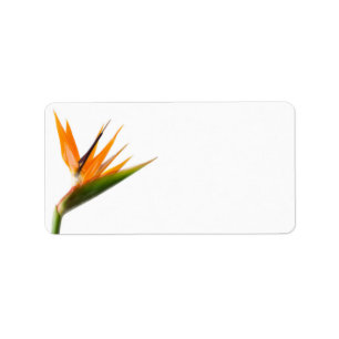 Bird of Paradise Wedding Labels