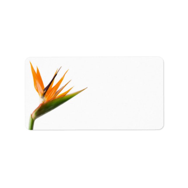 Bird of Paradise Wedding Labels (Front)