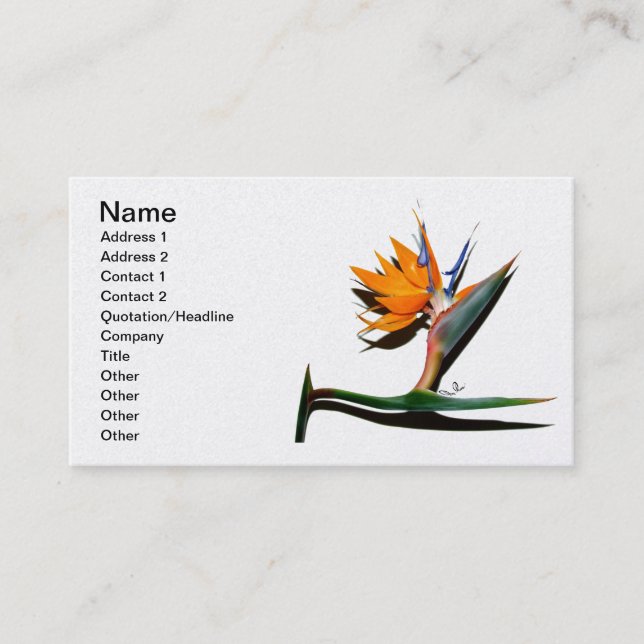 Bird of Paradise with Shadow Business Card (Front)
