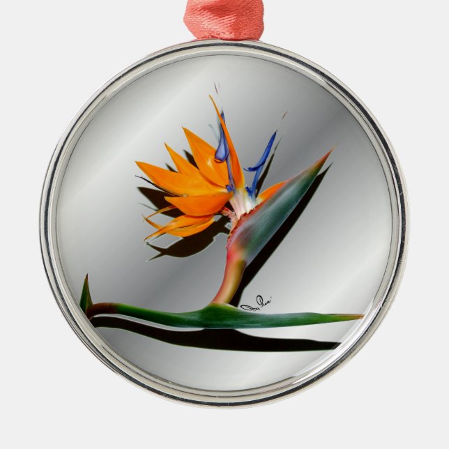 Bird of Paradise with Shadow Ornament (Front)