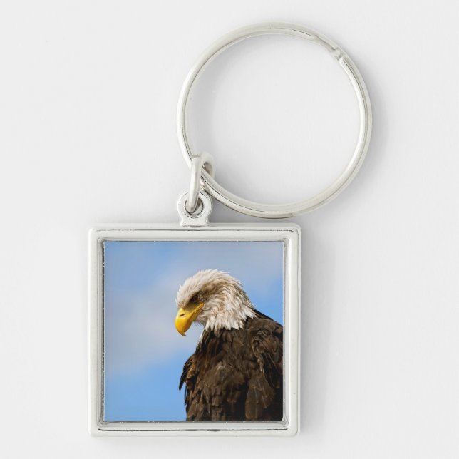 Bird of Pray Bald Eagle Keychain (Front)