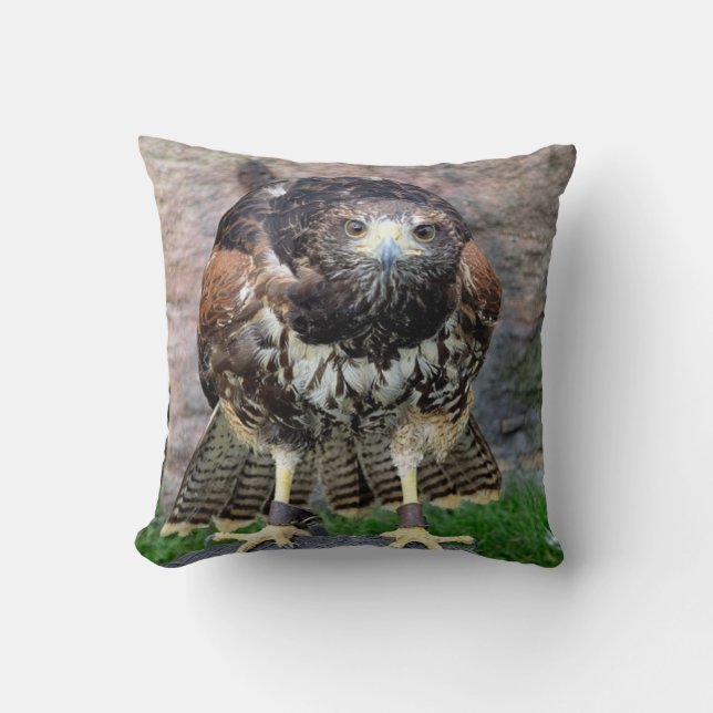 Bird of Prey #15-Red Tailed Hawk Throw Pillow (Front)