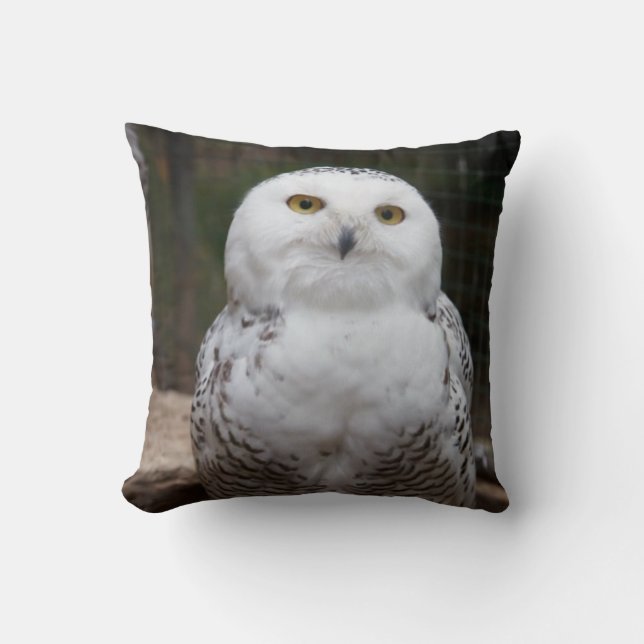 Bird of Prey #19-Snowy Owl Throw Pillow (Front)