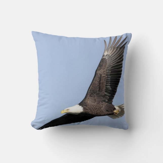 Bird of Prey #22- bald eagle Throw Pillow (Front)