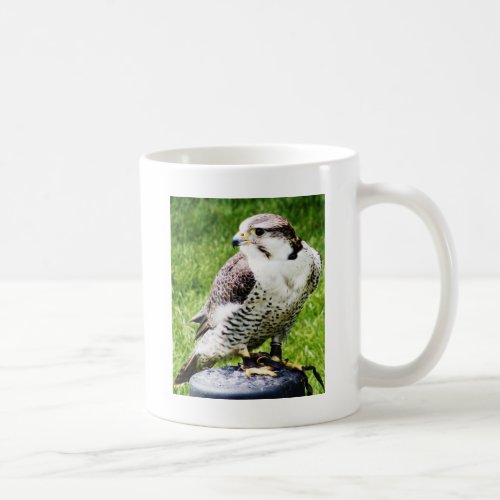 Bird of Prey 2_ Peregrine Falcon Coffee Mug