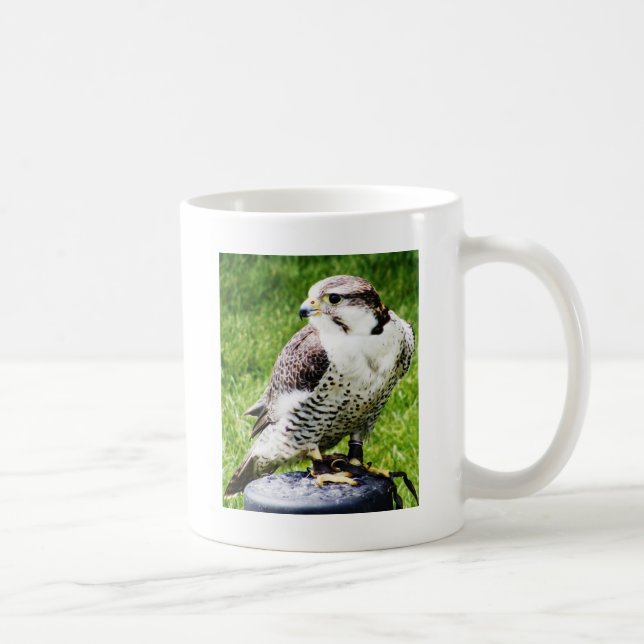 Bird of Prey #2- Peregrine Falcon Coffee Mug (Right)