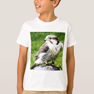 Bird of Prey #2-Peregrine falcon T-Shirt