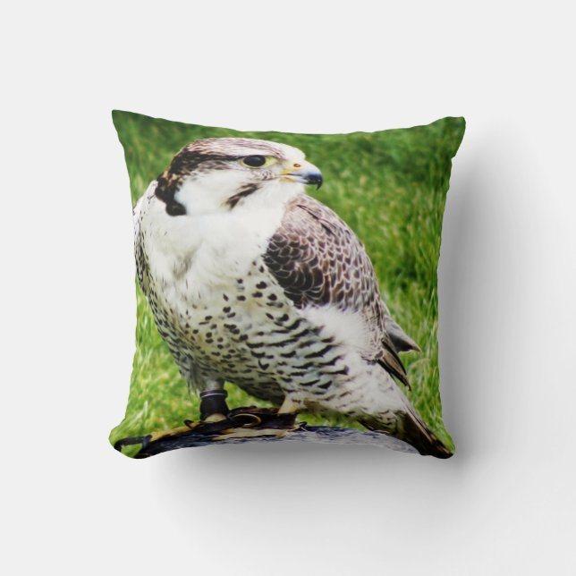 Bird of Prey #2-Peregrine Falcon Throw Pillow (Front)