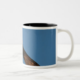 Bird of Prey, Bald Eagle in flight, Kachemak Two-Tone Coffee Mug