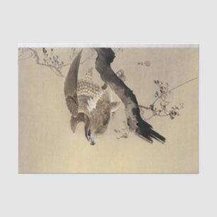 Bird Of Prey Bird Of Prey Art Vintage Tissue Paper