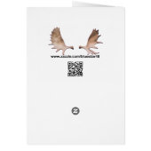 Bird of Prey Cards (Back)