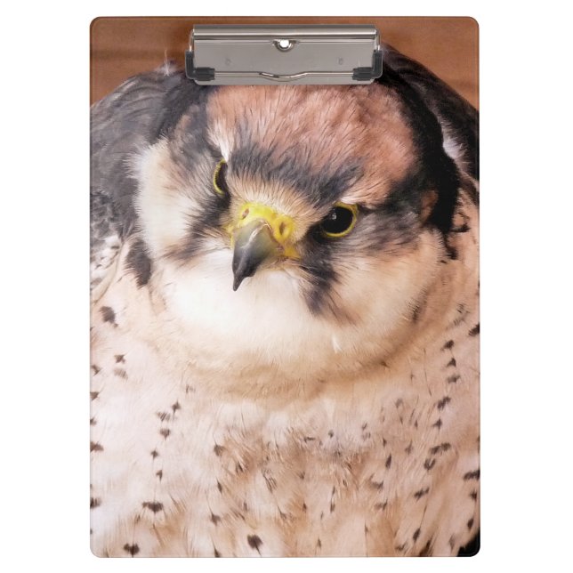 BIRD OF PREY CLIPBOARD (Front)