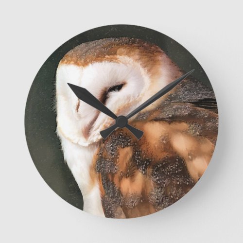 BIRD OF PREY OWL ROUND CLOCK