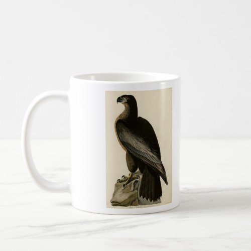 Bird of Washington from Audubons Birds of America Coffee Mug