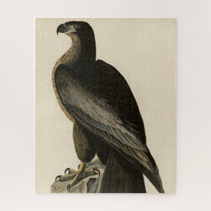 Bird of Washington from Audubon's Birds of America Jigsaw Puzzle