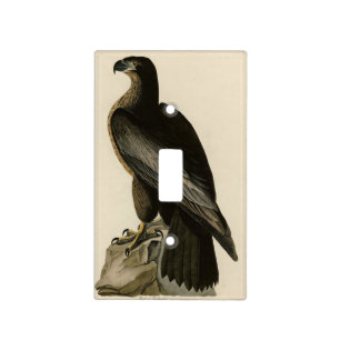 Bird of Washington from Audubon's Birds of America Light Switch Cover