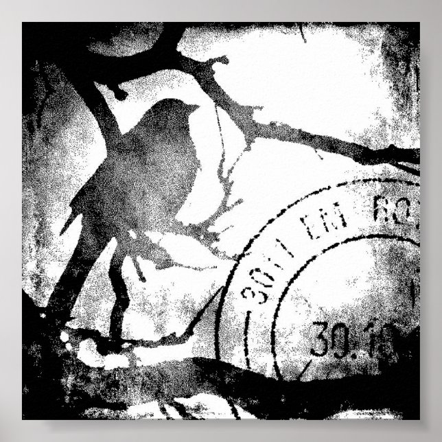 Bird on a Branch, Black and White Poster (Front)