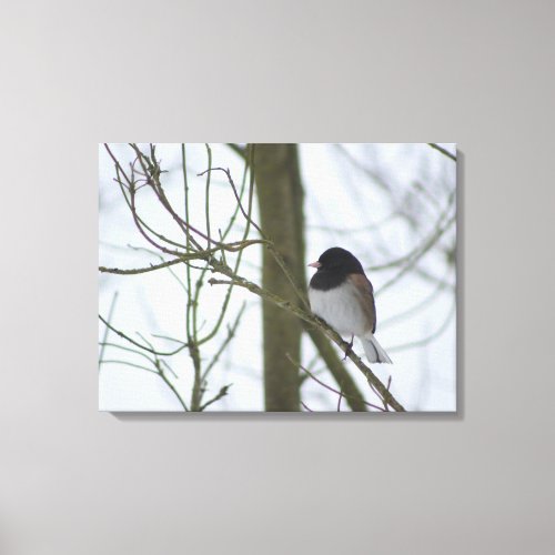 Bird on a Branch Canvas Print