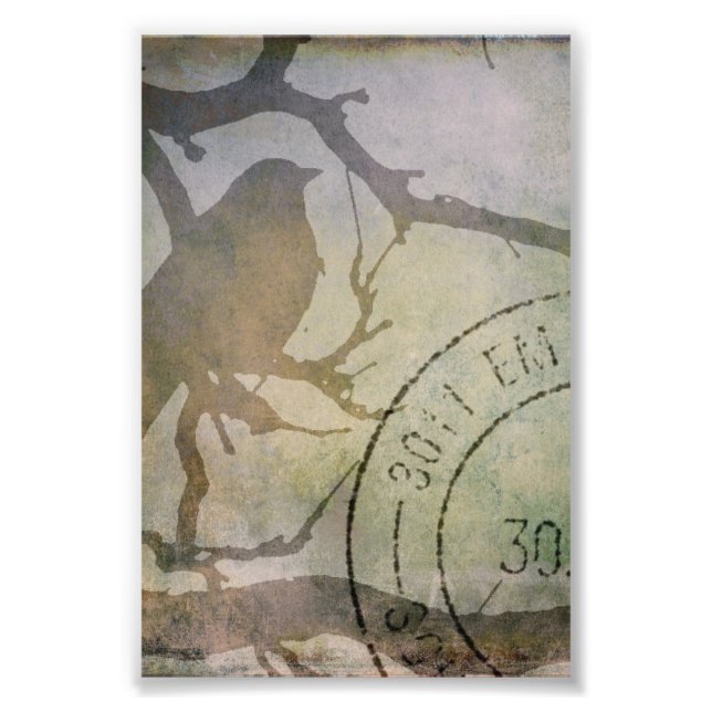 Bird On A Branch Photo Print (Front)