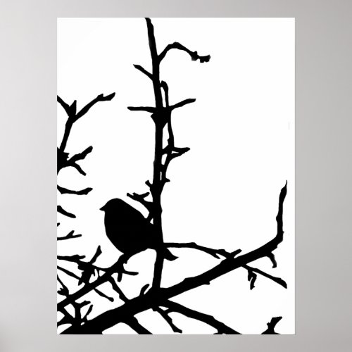 Bird on a Branch Poster
