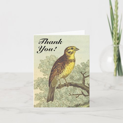 Bird on a Branch Vintage Look Thank You Card