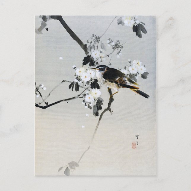 Bird on a Cherry Blossom Branch, Watanabe Seitei Postcard (Front)