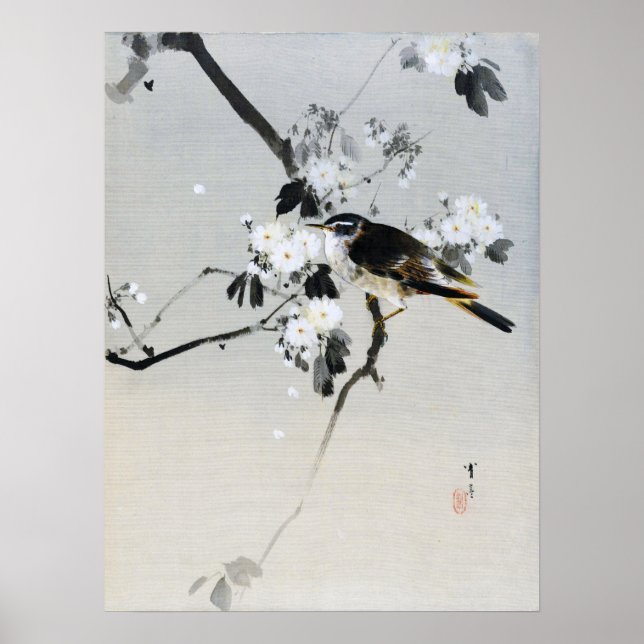 Bird on a Cherry Blossom Branch, Watanabe Seitei Poster (Front)