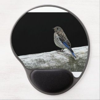 Bird on a Fence Mouse Pad
