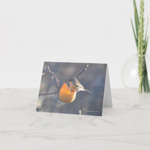 Bird on a Half-Eaten Apple Card