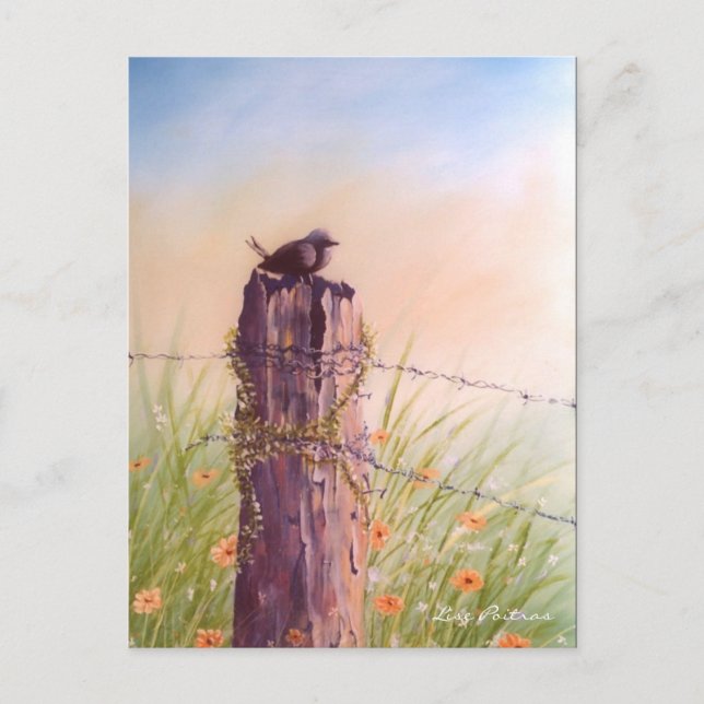 Bird on a Picket Fence  - Postcard (Front)