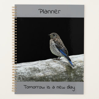 Bird on a Post - planner
