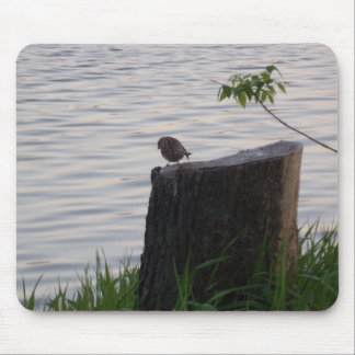 Bird on a Stump Mouse Pad