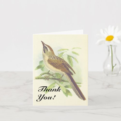 Bird on a Tree Branch Thank You Card