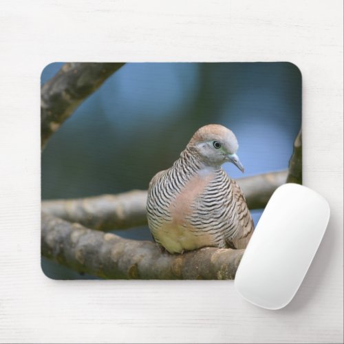 Bird on A Tree Limb Mouse Pad