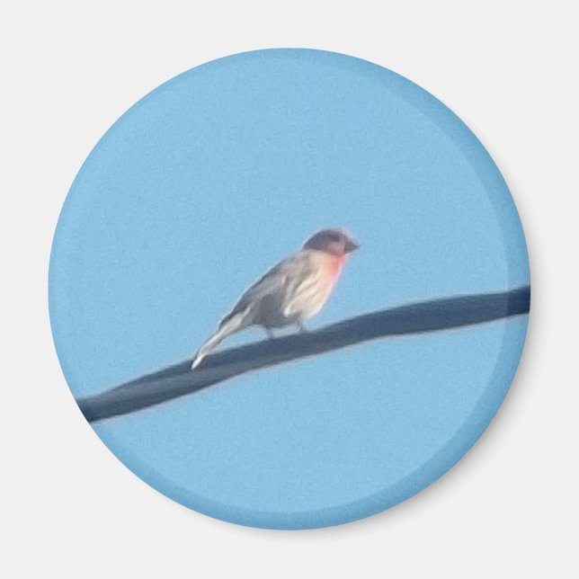 Bird on a wire magnet (Front)