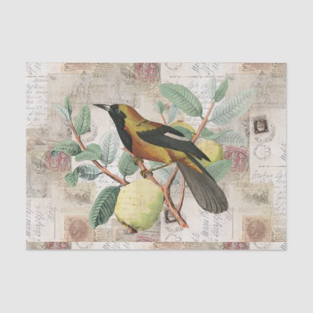 Bird on Branch Vintage Italian Rome Tissue Paper (Front)