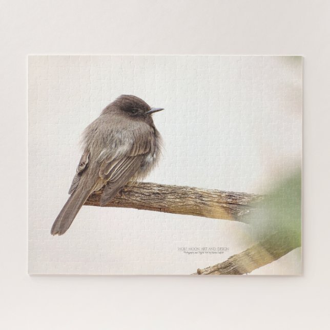 Bird On Branch Young Junvenile Black Phoebe Jigsaw Puzzle (Horizontal)