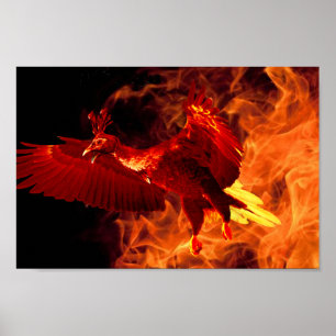 Bird on Fire Poster