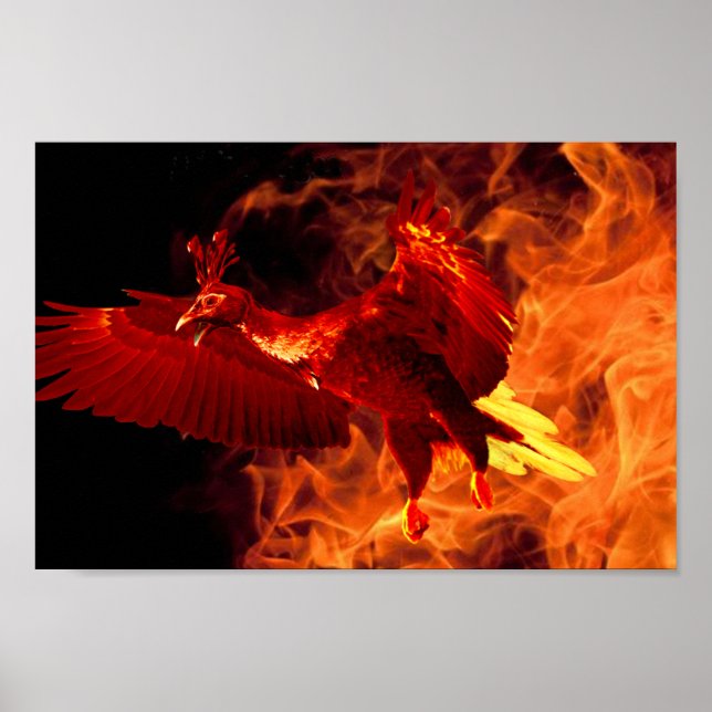 Bird on Fire Poster (Front)